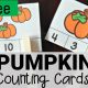 pumpkin counting cards