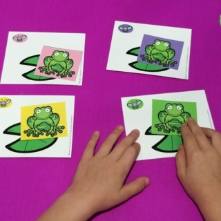 Hungry Frogs Color Matching Game