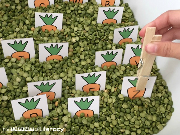Spring is in the air with this hands on peas and carrots alphabet sensory bin! Match letters, work on names, or build words with these printable letters.