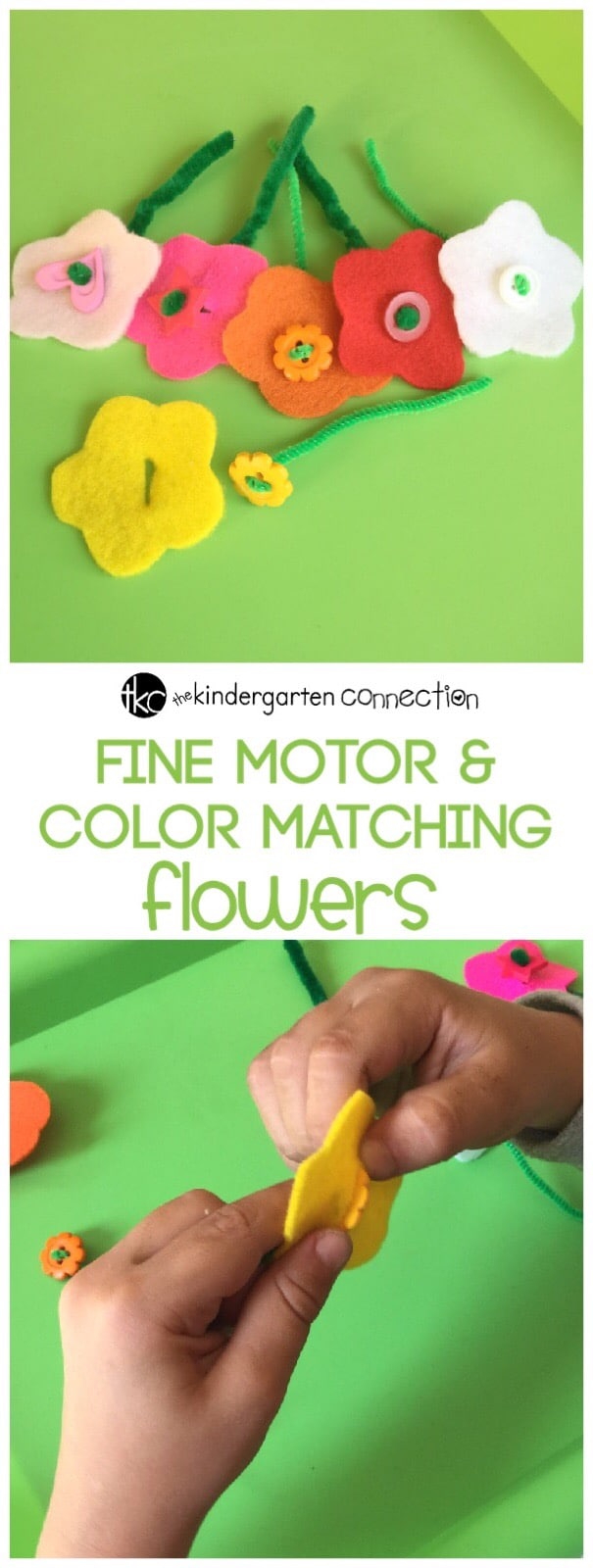 Fine motor skills are important to develop in early childhood. Work on strengthening those fine motor muscles with this fun color matching activity!