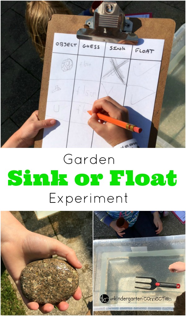 Engage children's natural sense of curiosity and introduce them to the basics of a science experiment in this Garden Sink or Float Activity.