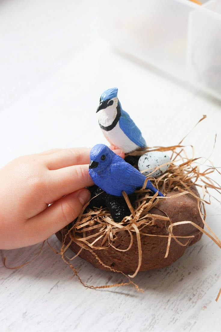 This bird themed play dough kit is perfect for spring, fall, or anytime! This sensory filled fun is great for hands on learning and play.