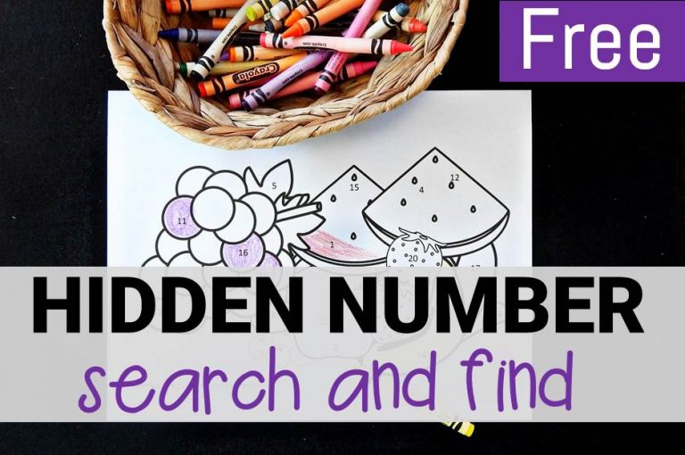 Hidden Number Search