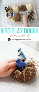 Bird Play Dough Kit
