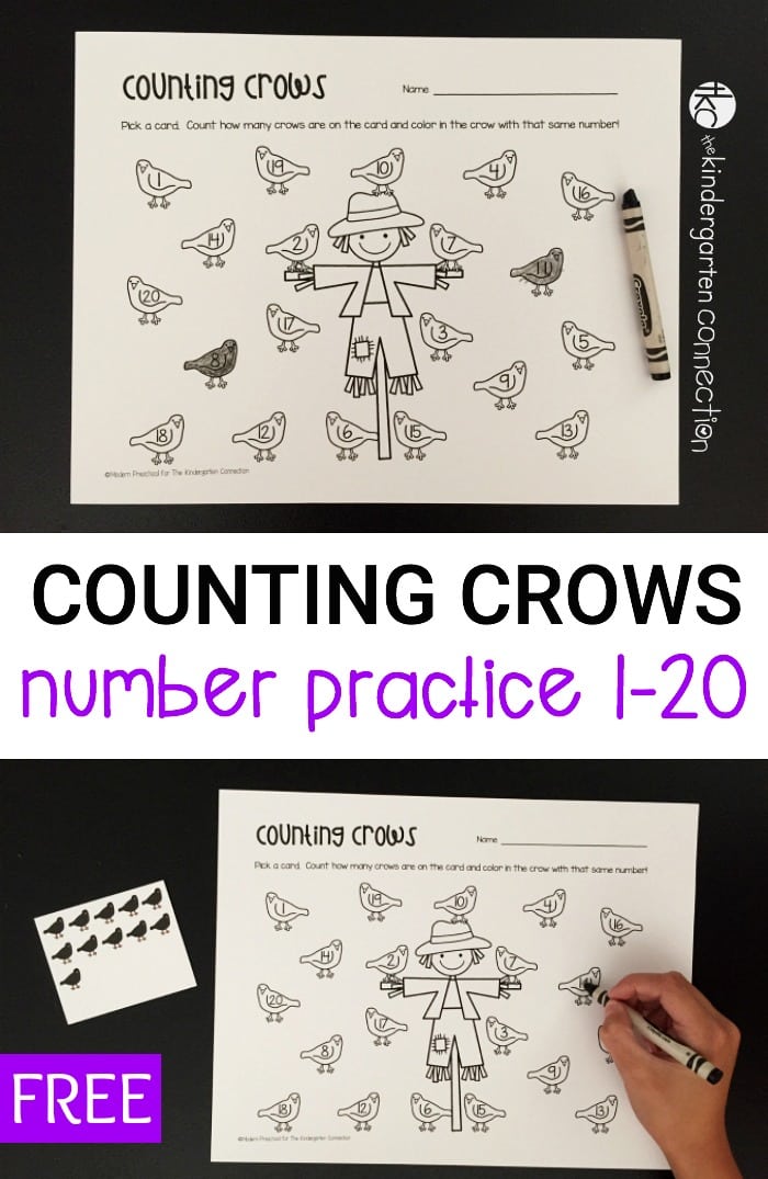 This free counting crows number practice activity is so fun for fall! Preschoolers and Kindergarteners can work on 1 to 1 correspondence, number identification, and counting to 20!