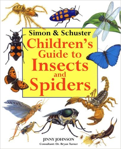 Learn about over 100 different insects and spiders with this fun children's guide!