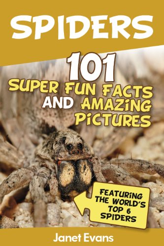 Take a look at 6 famous spiders like the Black Widow, Crab Spider, Tarantula, and more in this spider book for kids.