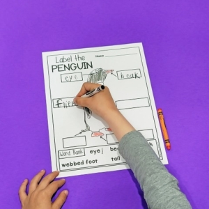 Parts of a Penguin Labeling Printable