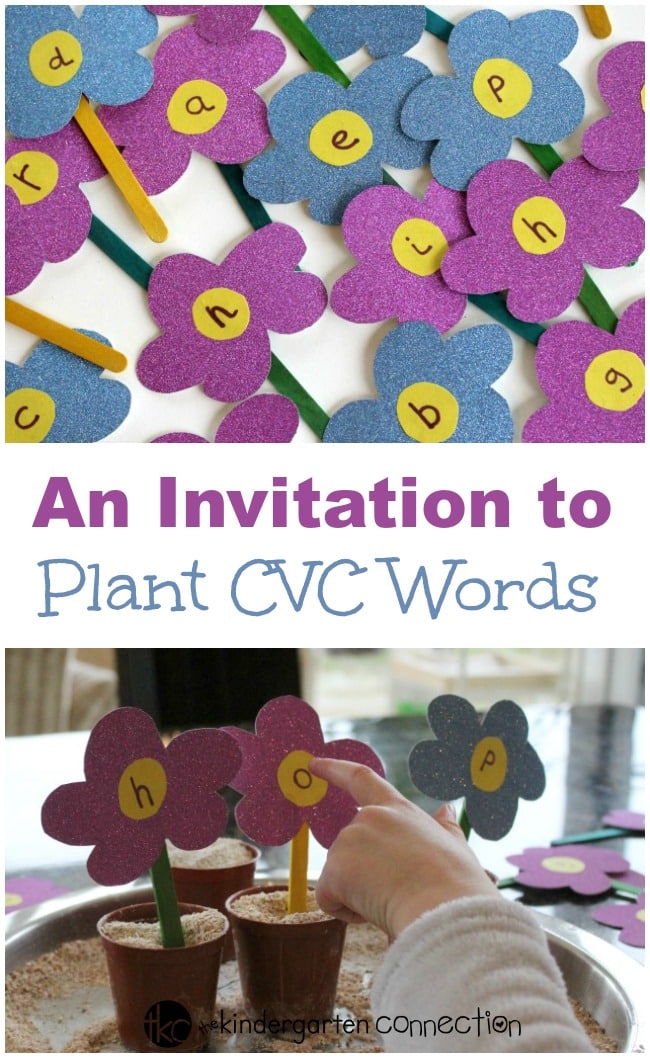 Sounding out each of the letters and blending them together to make new words is challenging for young children. Create this invitation to plant CVC words!