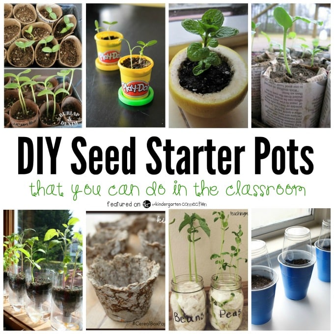 These seed starter pots are perfect for the classroom and provide a valuable real life hands on way for kids to learn about how plants grow.