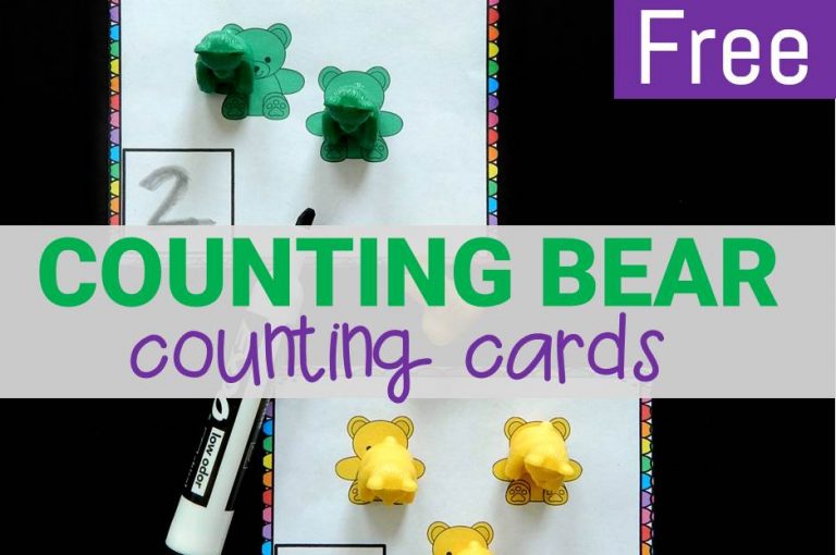 Counting Bear Counting Cards
