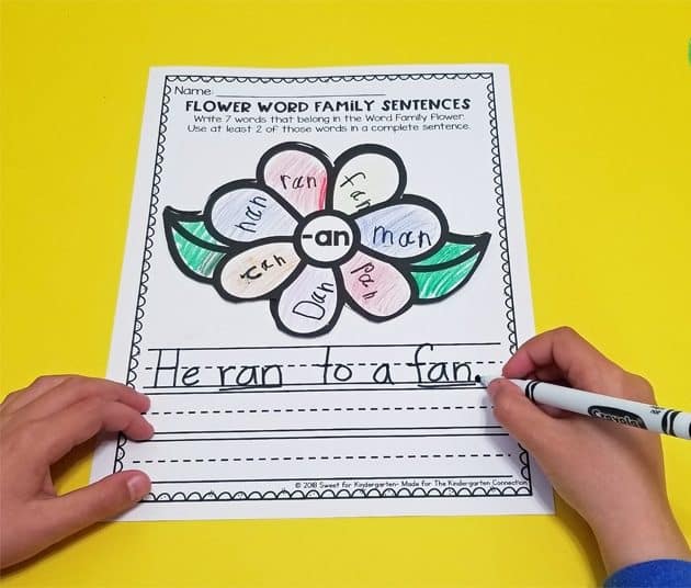 Flower Word Family Sentences Activity
