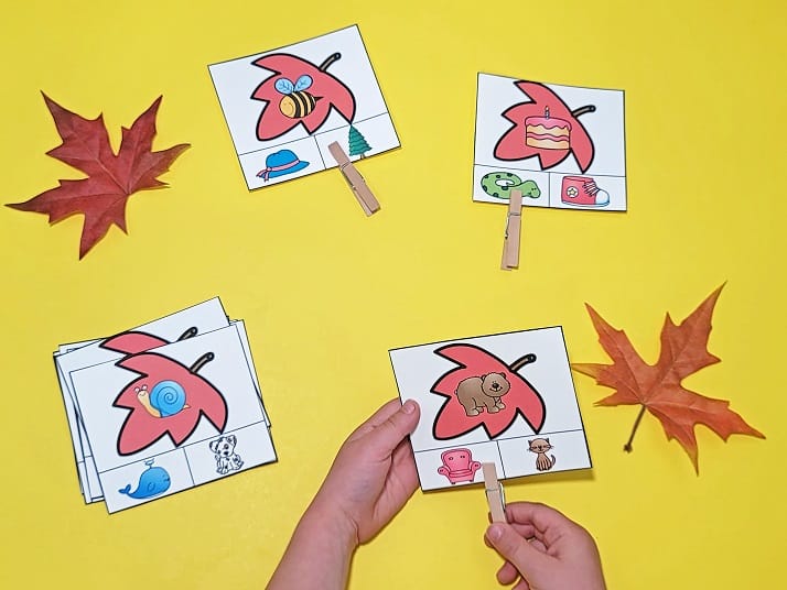 Fall Leaf Rhyming Clip Cards