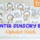 Winter Sensory Bin Alphabet Match, FREE Printable