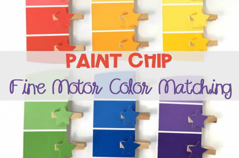 Paint Chip Color Matching Activity