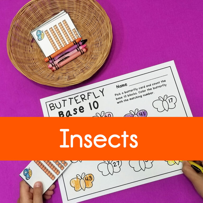 Collections – Insect Themed Activities and Resources