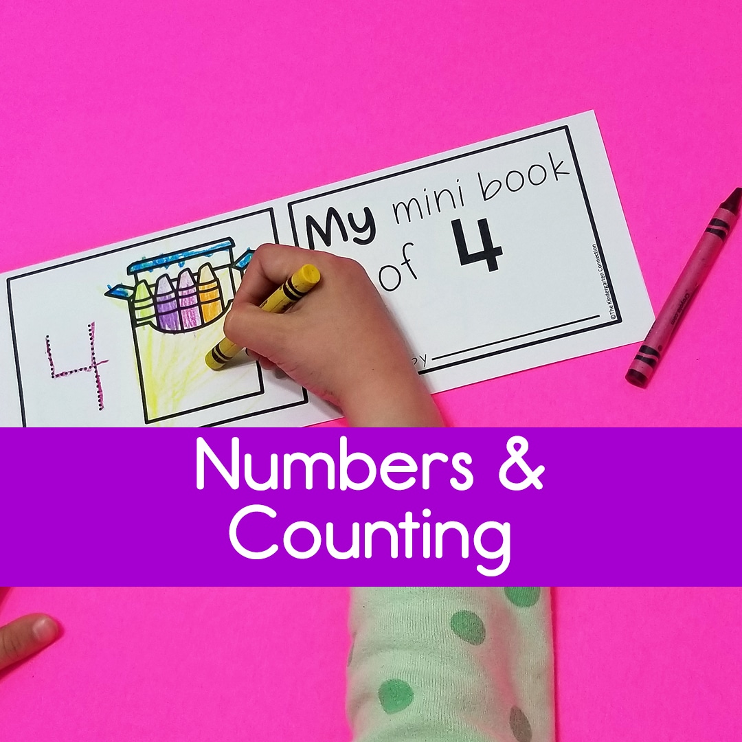 Numbers & Counting