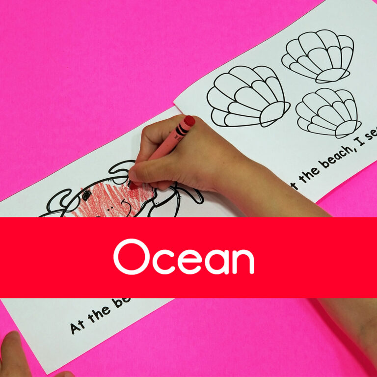 Collections – Ocean Themed Activities and Resources