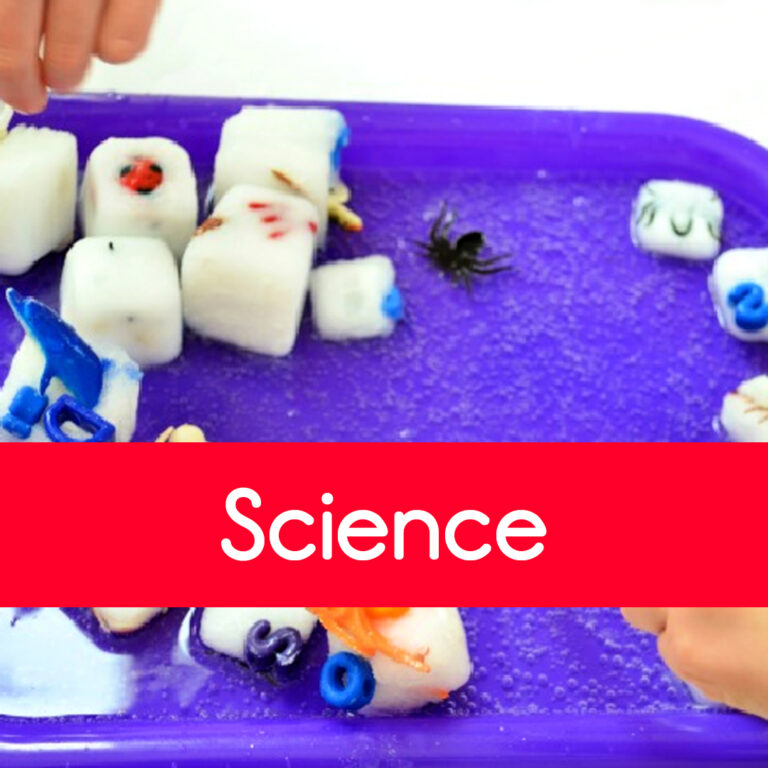 Collections – Science Activities and Resources