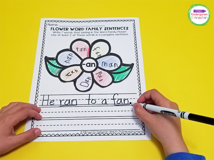 Lastly, the kids will write a sentence or two using words from the word family flower that they created.