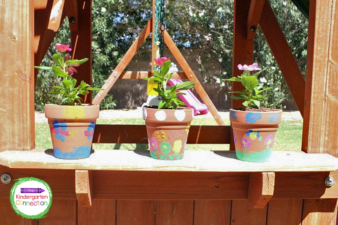 Place your adorable Thumbprint Flower Pots in the sun  where you can see them often.