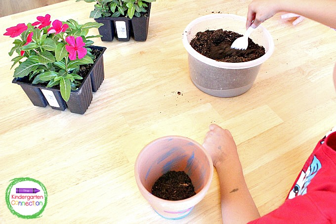After you let the paint dry, fill the bottom of your flower pots with some soil.