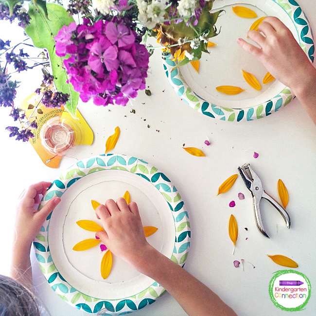 Invite students to arrange bits of flower petals and leaves onto the shelf liner that is attached to the paper plate.