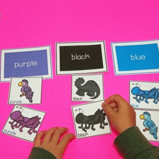 Printable Color Sorting Activity