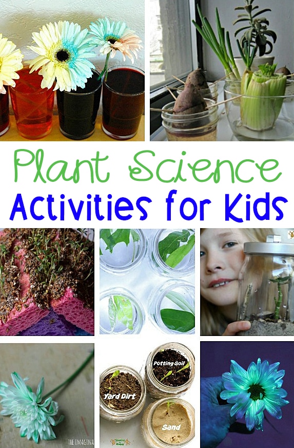 Must-Try Plant Activities Kids Will Love!