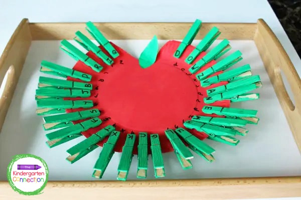 Paint the clothespins and plate. Write uppercase letters on the clothespins and lowercase letters on the paper plate.