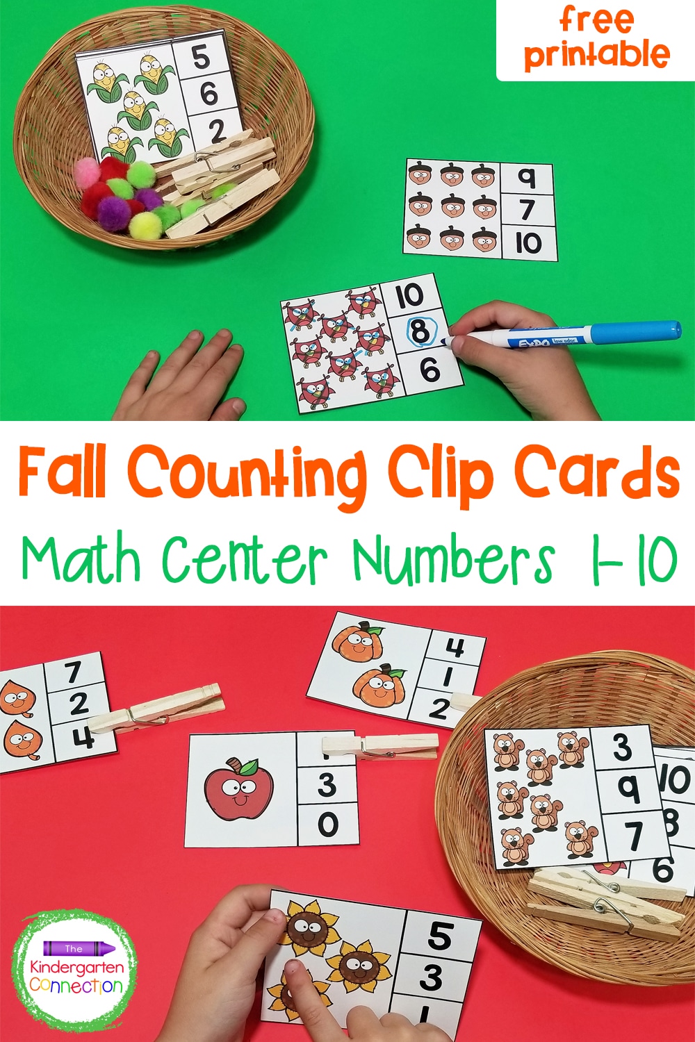 Practice counting and 1:1 correspondence with our free Fall Counting Clip Cards. They're perfect for Pre-K or Kindergarten math centers!