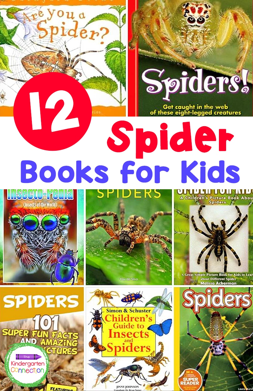 12 Spider Books for Kids