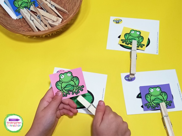 Students use clothespins to clip the colored frog card to the matching colored fly card.