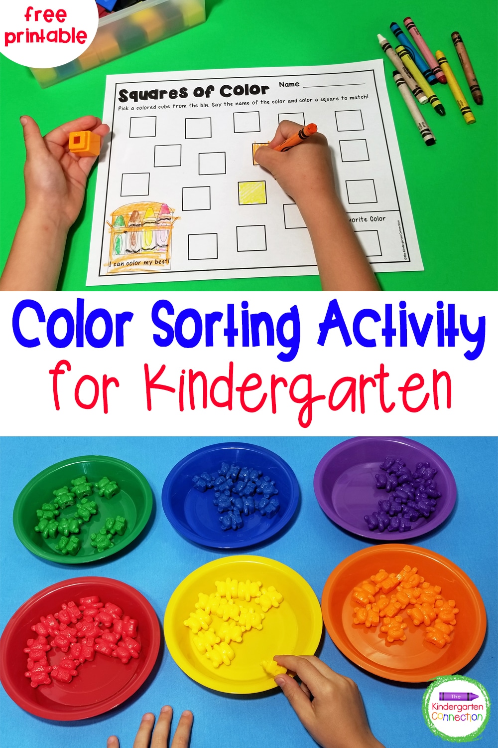 This free Color Sorting Activity is perfect for preschoolers and kindergarteners who are working on identifying colors and sorting!