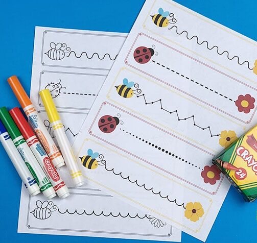 Bees and Bugs Pre-Writing Practice