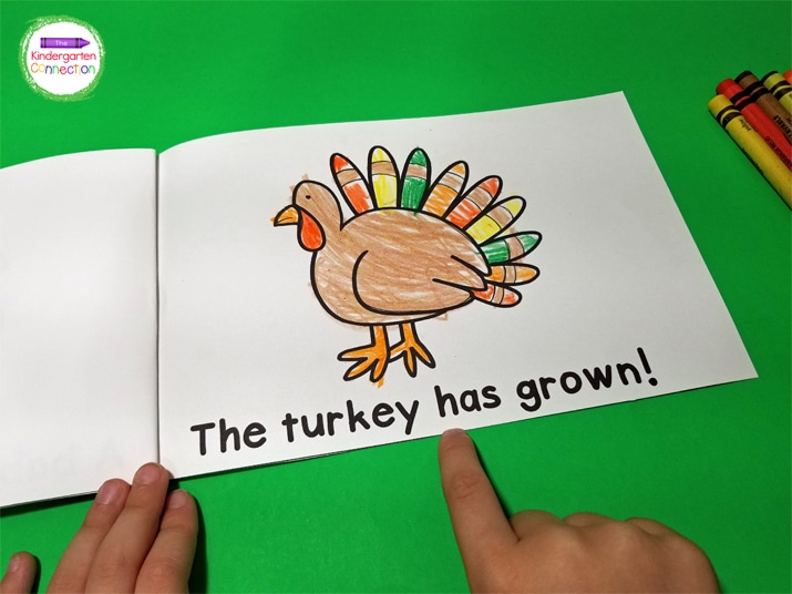We read through the book together, using the fun pictures to help us identify the new turkey vocabulary words.