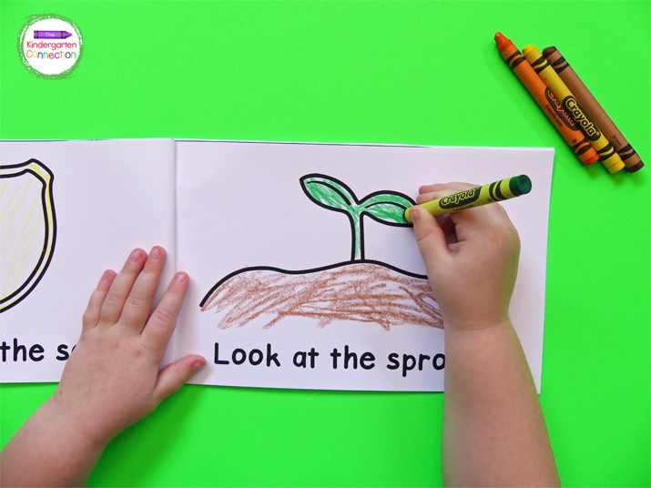 This pumpkin emergent reader has a predictable sentence pattern perfect for early learners.