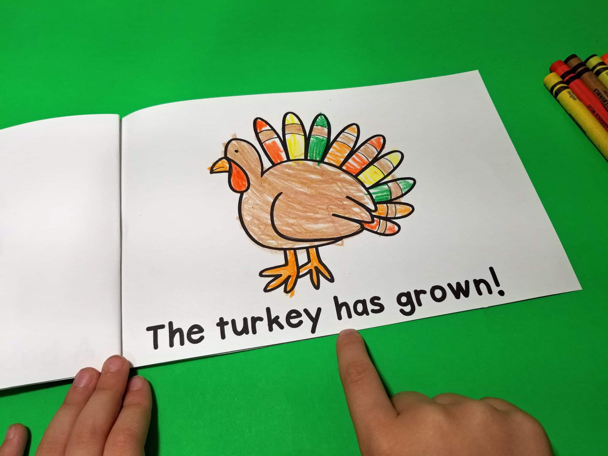 Life Cycle of a Turkey Easy Reader