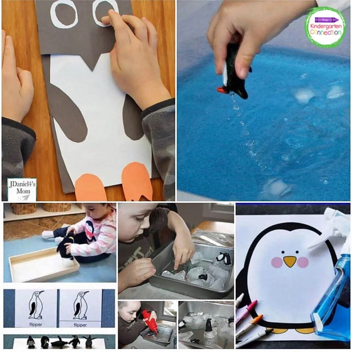 Have fun with hands-on learning about penguins!