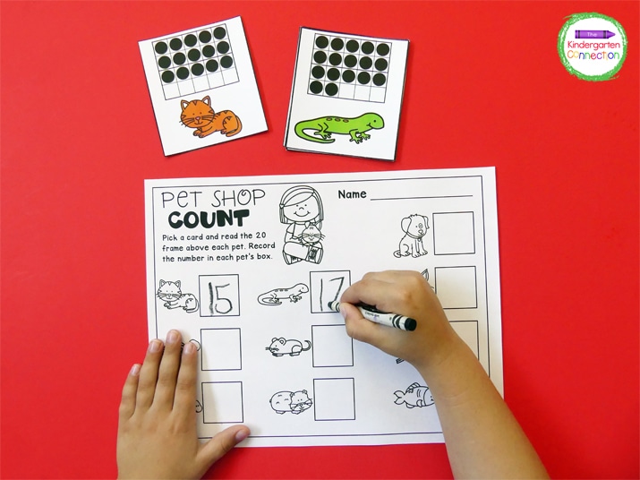 This Pet Shop counting activity provides great practice for counting and writing teen numbers!