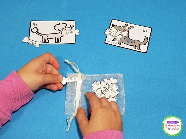 To add some extra fun, use a small grab bag for little hands to "pull out" the word bones.
