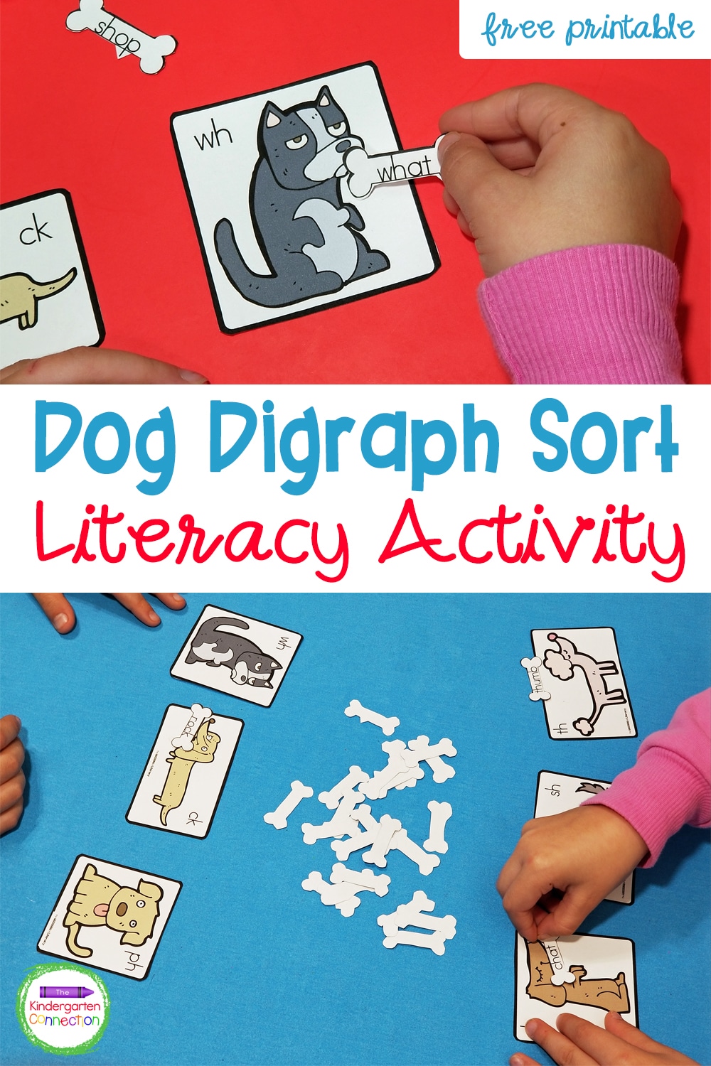 This free Dog Digraph Word Sort Activity is great for literacy centers, small groups, or partner work in Kindergarten or early 1st grade!