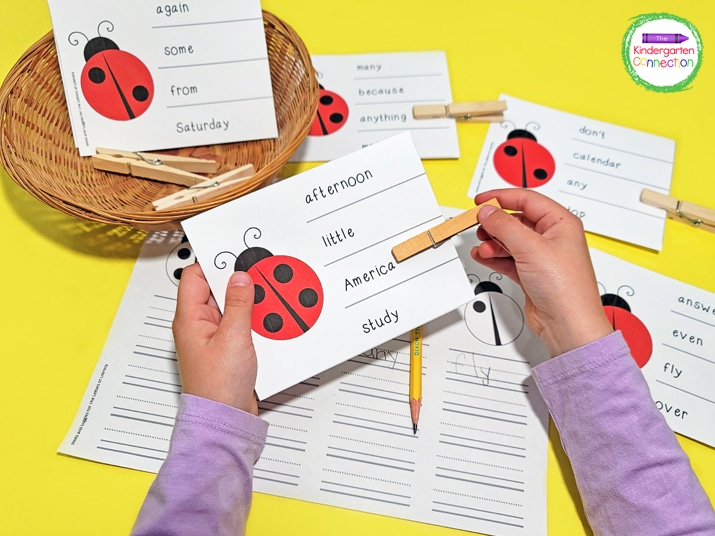 To play, students will count the number of dots on the ladybug, and then clip the word that has that number of syllables.