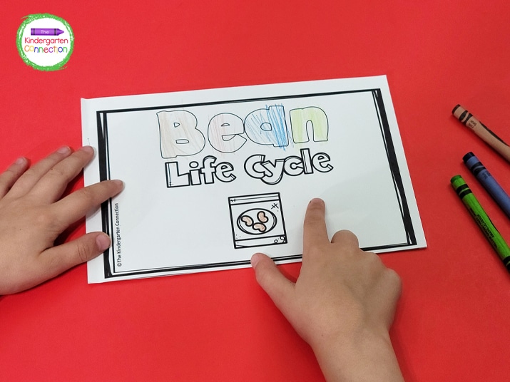 One of the emergent readers included is for the life cycle of a bean.