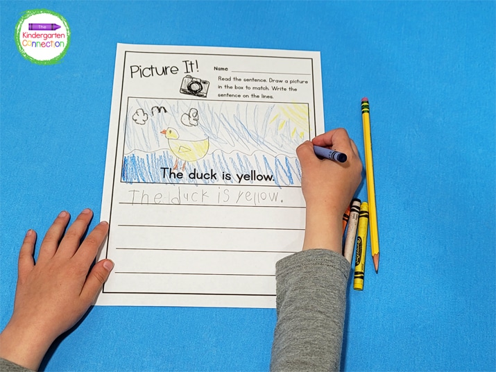 For this activity, students read the sentence, write it on the lines, and draw a picture to match.