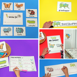 Insect Writing Center Activities
