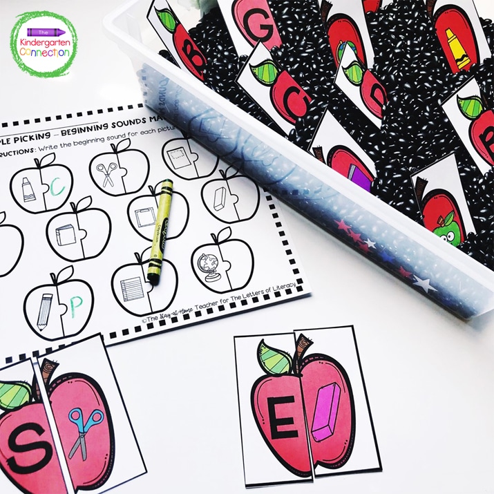 As a sensory bin, place the apple halves in the black beans and students pull the cards until they make a match.