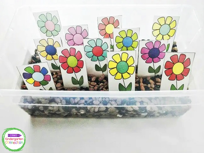 To begin, I placed all of the laminated flowers into the dry beans to create a flower garden.