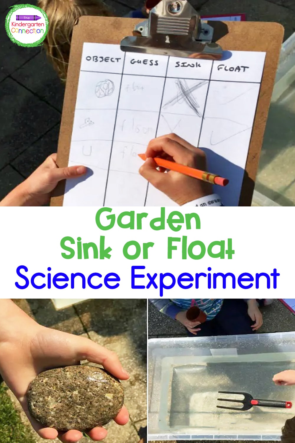 Engage children's natural sense of curiosity and introduce them to the basics of a science experiment in this Garden Sink or Float Activity!