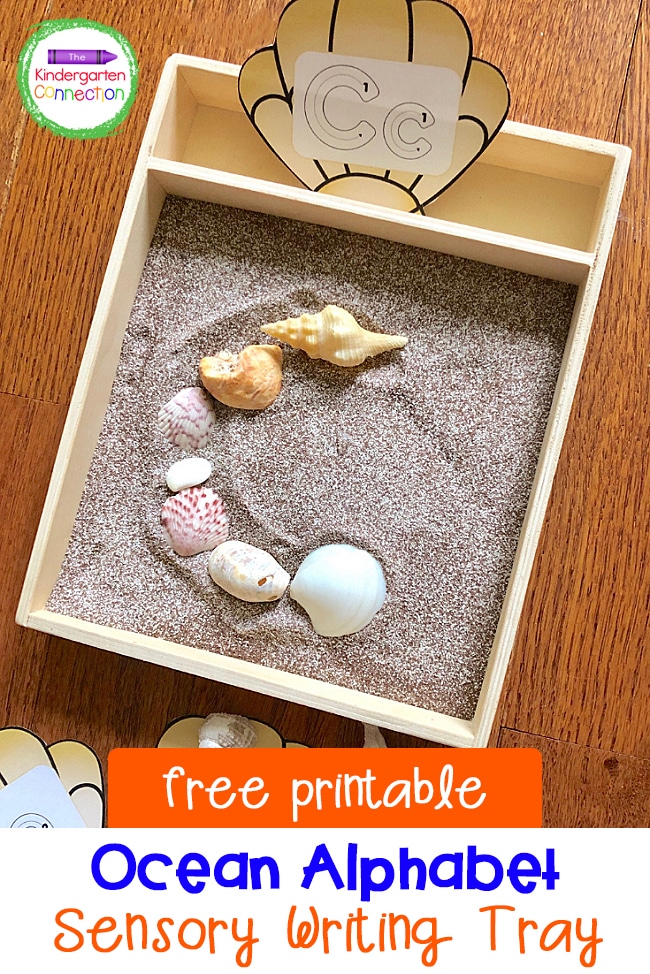 Make writing letters fun with this free Ocean Alphabet Sensory Writing Tray Activity! It's perfect for Pre-K & Kindergarten!